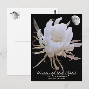 Queen of the Night ポストカード Postcard