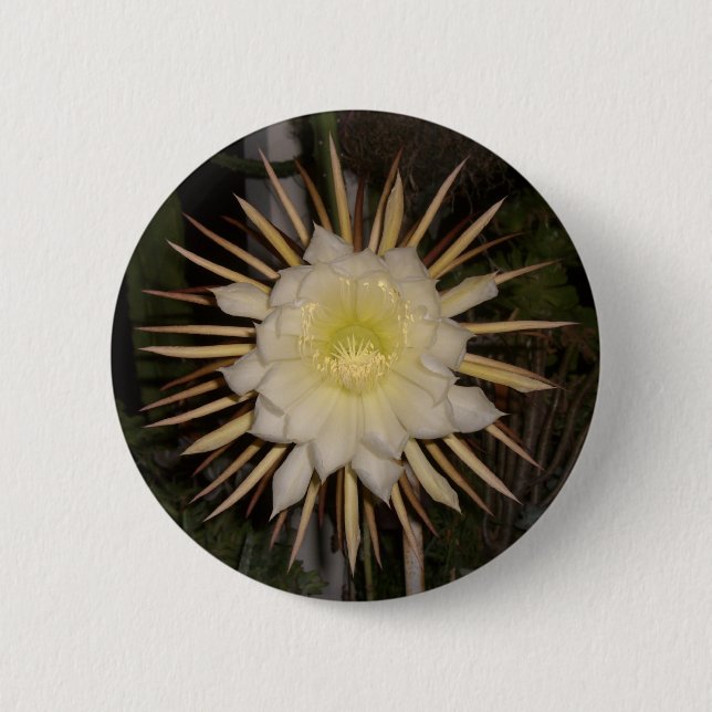 "Queen Of The Night" Cactus Flower 2 Inch Round Button (Front)