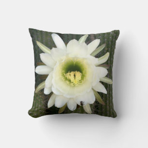 Queen Of The Night Cactus Flower, Karoo Region Throw Pillow