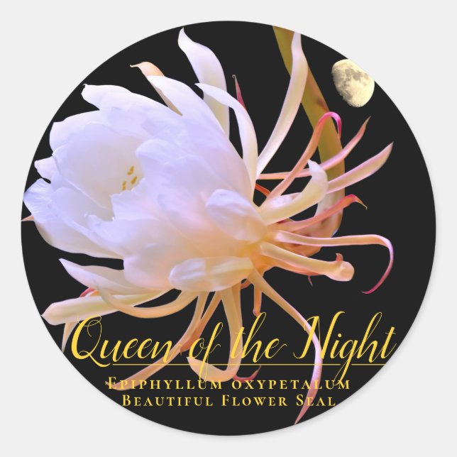 Queen of the Night Classic Round Sticker (Front)