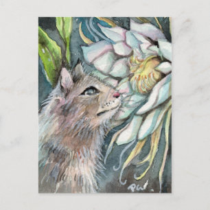 Queen of the Night Postcard