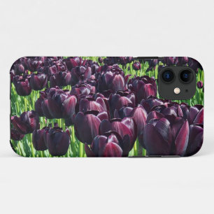 Queen of the Night Tulips iPhone 11 Case