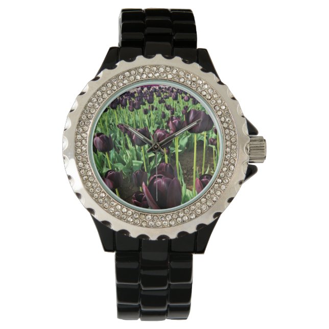 Queen of the Night Tulips, Oregon Watch (Front)