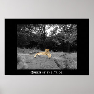 Queen of the Pride Poster