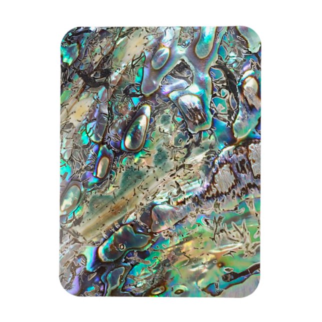 Queen paua shell magnet (Vertical)