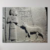 Queen Tuwarissa, wife of King Araras