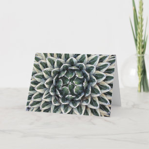 Queen Victoria agave card