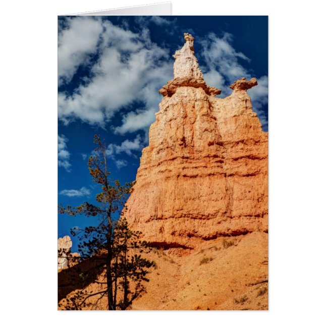 Queen Victoria Queen's Garden Trail (Devant)