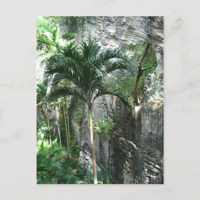 Queen's Staircase Postcard (Front)