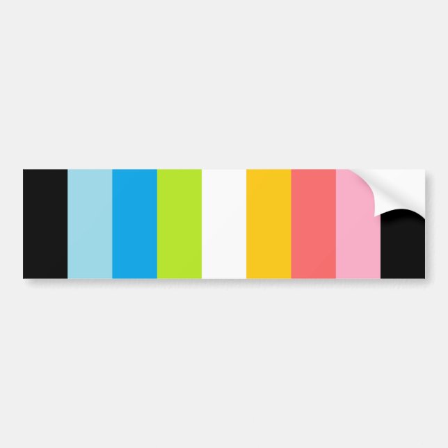 Queer Pride Bumper Sticker (Front)