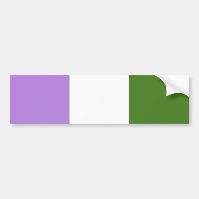 Queer Pride Flag Bumper Sticker (Front)