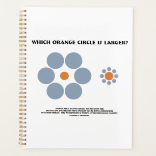 Quel Cercle Orange Est Le Plus Grand ? Illusion d'