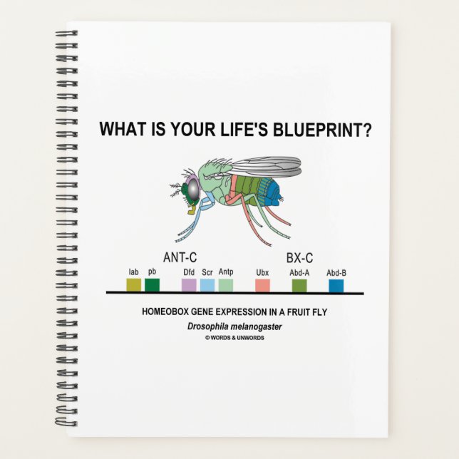 Quel est le plan directeur de votre vie ? Biologie (Devant)