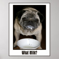 Quel lait ? Affiche
