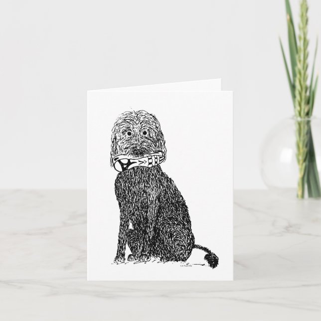 Quelle Chaussure ? Carte (Devant)