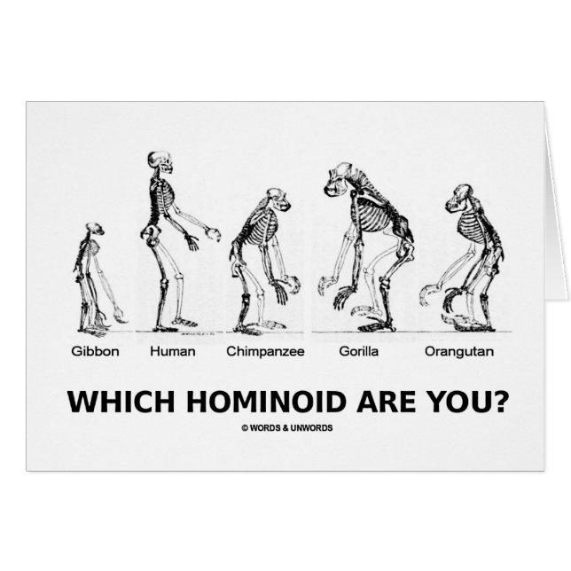 Quels humanoïdes êtes-vous ? (Squelettes (Devant horizontal)