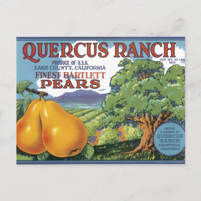 Quercus Ranch Bartlett Pears Postcard (Front)
