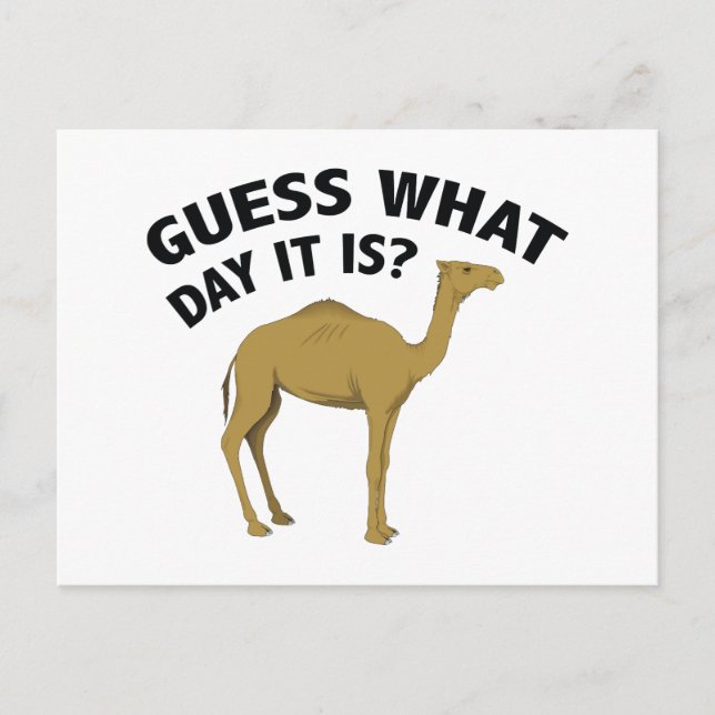 Quess What Day It Is? Postcard (Front)