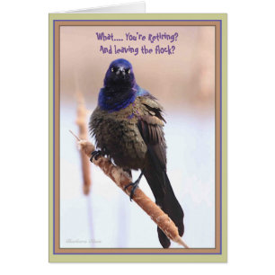 Qu'est-ce que c'est ? You're retiing & leuilding t