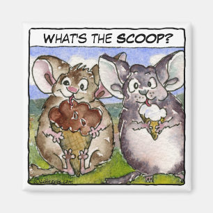 Qu'est-ce que la Scoop ? Aimant à crème glacée de