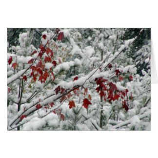 Qu'est-ce que le rouge, le blanc et la neige parto