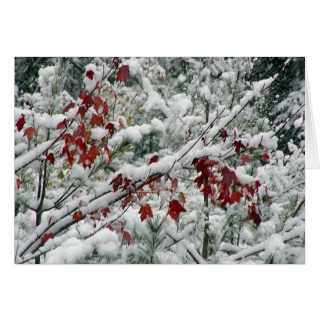 Qu'est-ce que le rouge, le blanc et la neige parto (Devant Horizontal)