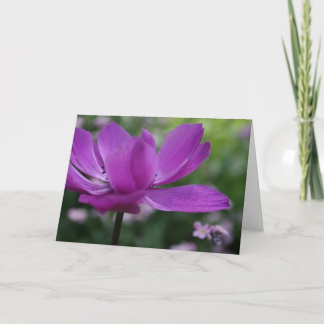 Qu'est-ce que tu caches ? Carte photo Anemone Flor (Devant)