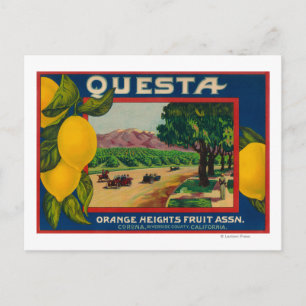Questa Lemon LabelCorona, CA Postcard