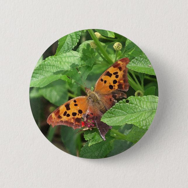 Question Mark Butterfly on Lantana 2 Inch Round Button (Front)
