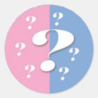 Question mark Gender Reveal Sticker Round