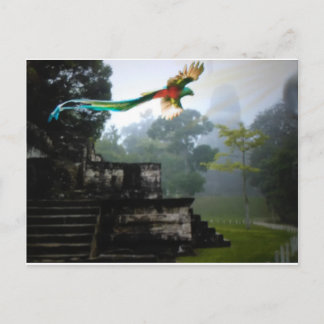 Quetzel in Tikal Postcard