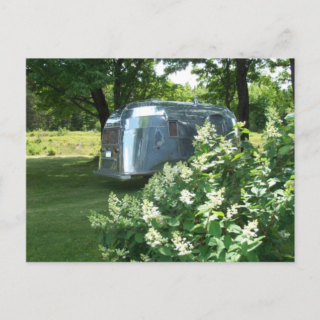 Queue de baleine et Hydrangea Tin Can carte postal (Devant)