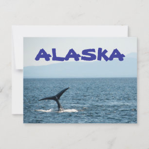 Queue de baleine Pittoresque Alaska Carte postale