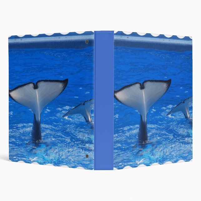 Queue d'un classeur de baleine (Arrière-plan)