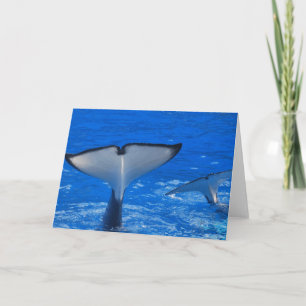 Queue d'une carte de voeux de baleine