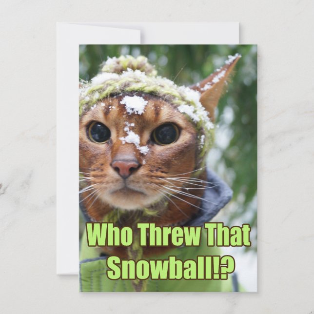 Qui a jeté ce Snowball ! ? Cartes plates - boîte (Devant)