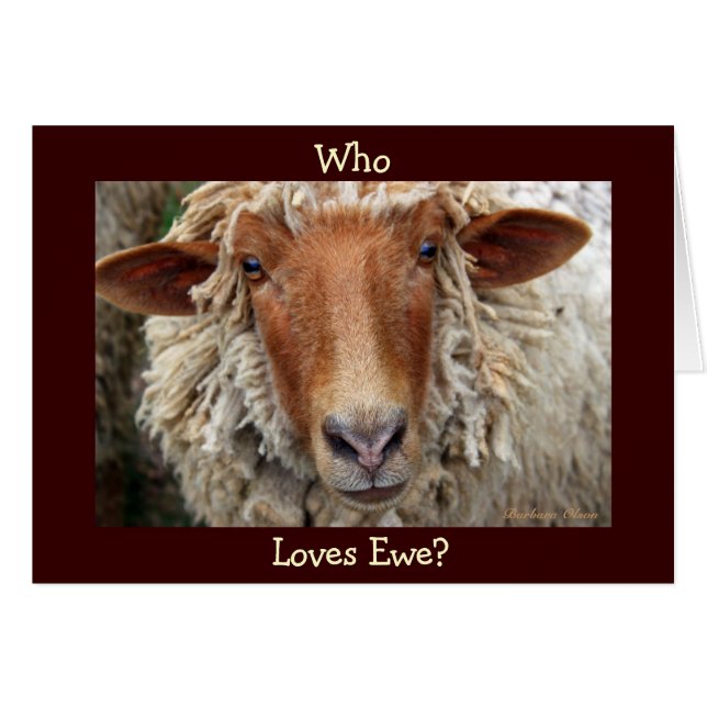 Qui Aime Ewe ? Je laine faire : Saint-Valentin/Ann (Devant horizontal)
