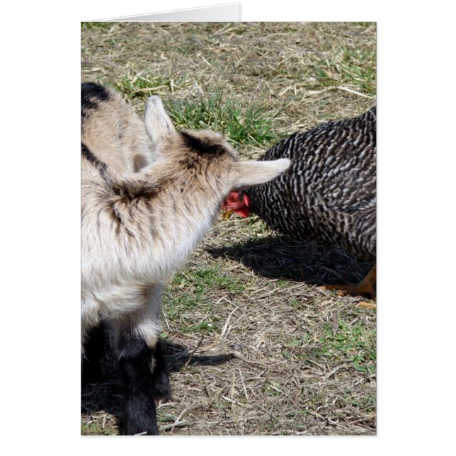 Qui Êtes-Vous ? (Devant)