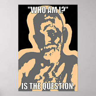 "Qui suis-je ?" Affiche