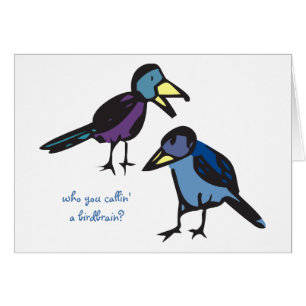 qui vous callin un birdbrain ?