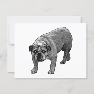 Quick Cheer Bulldog Postcard