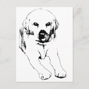 Quick hello from a Lab Postcard