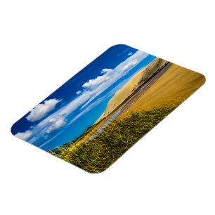 Quicksand stream near 90-Mile Beach, New Zealand Magnet