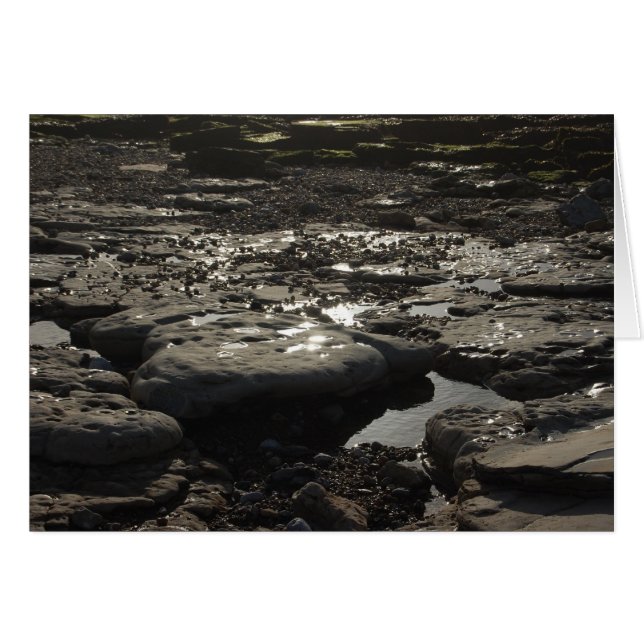 Quicksilver (Devant horizontal)