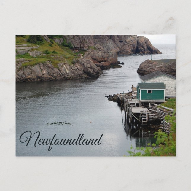 Quidi Vidi Newfoundland Canada Postcard (Front)
