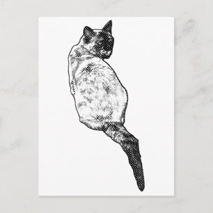 Quiet Cat, Soft Greetings Postcard