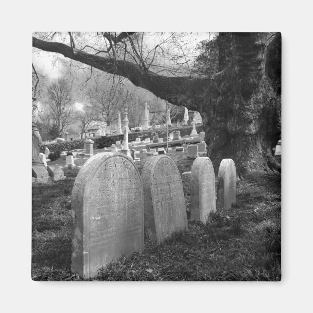 quiet cemetery magnet (Front)