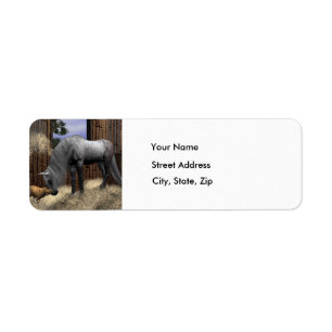 Quiet Companions - Address Labels