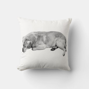 Quiet Corner, Whole Home Calm Throw Pillow