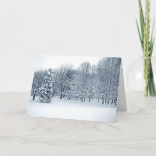 Quiet Forest Holiday Card